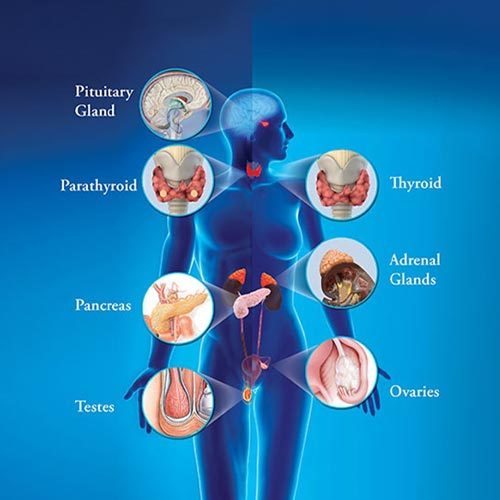 Chronic Pain Lockport IL Diagram